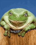 pic for Smiley Frog